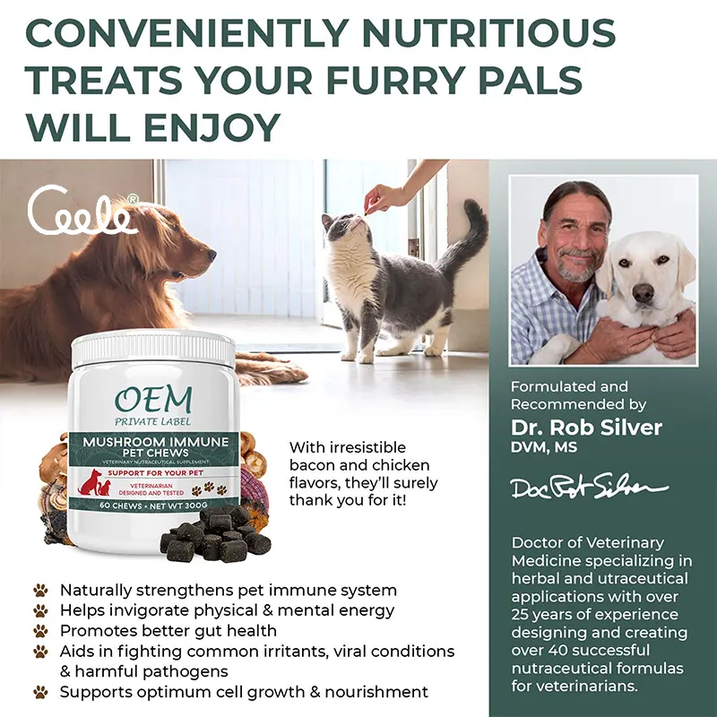 Premium Pet Calming Supplement Soft Chews Herbal Complex Maintains Stable Mood for Dogs and Cats Anytime Use