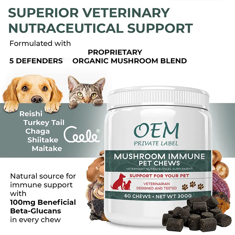 Premium Pet Calming Supplement Soft Chews Herbal Complex Maintains Stable Mood for Dogs and Cats Anytime Use
