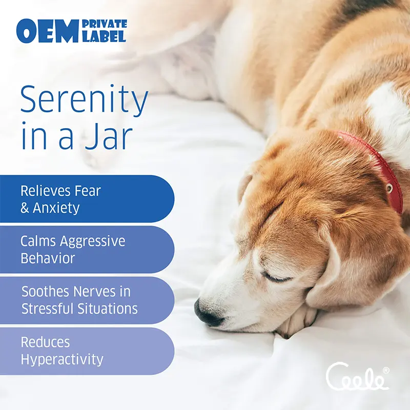 Private Label Herbal Calming Soft Chews Natural Anxiety Relief Supports Physical Relaxation for All Pet Breeds