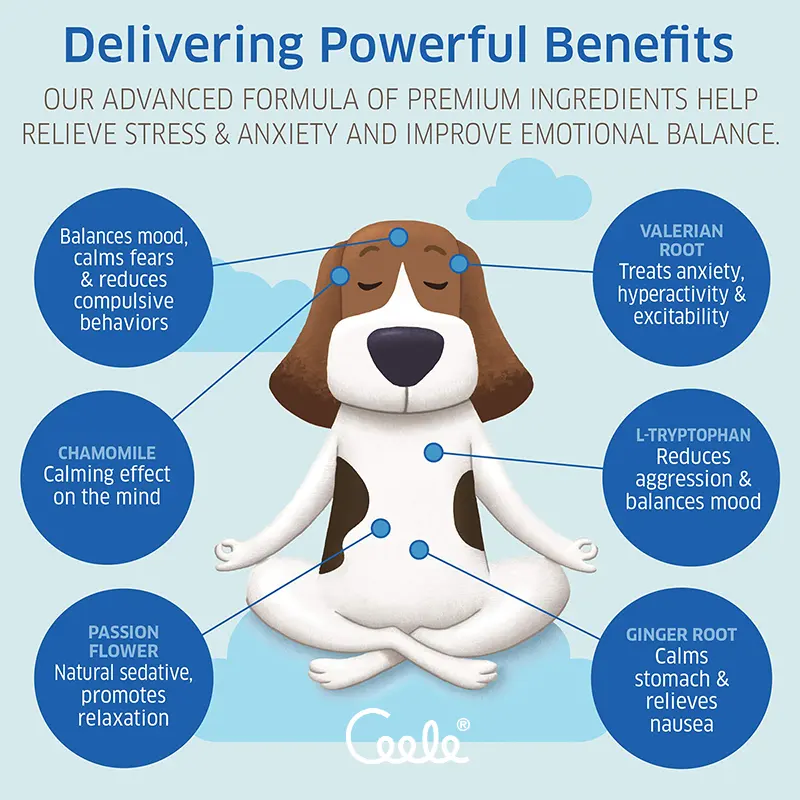 Private Label Herbal Calming Soft Chews Natural Anxiety Relief Supports Physical Relaxation for All Pet Breeds