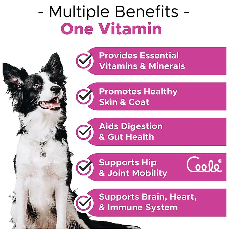 Private Label Hip Joint Soft Chews Glucosamine Chondroitin MSM Maintain Mobility Joint Comfort for Adult and Senior Dogs