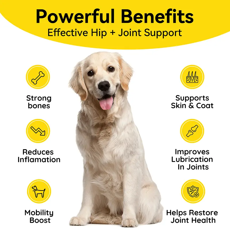 Private Label Hip Joint Soft Chews Glucosamine Chondroitin MSM Maintain Mobility Joint Comfort for Adult and Senior Dogs