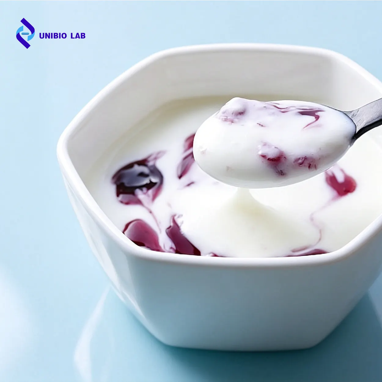 Lactobacillus Delbrueckii Subsp.bulgaricus Probiotics Powder for Regulate Gut Microbiota Modulate Immunity and Assist Metabolism