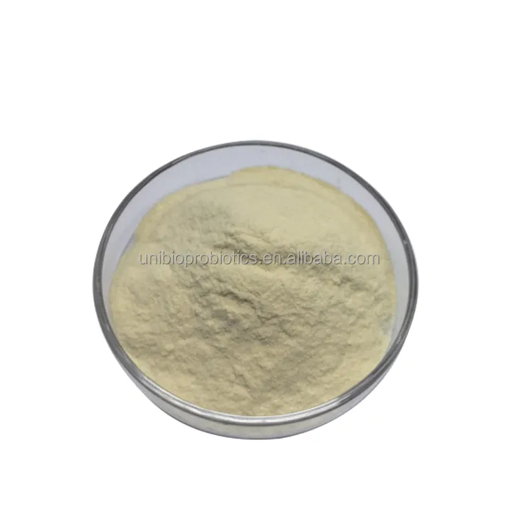 Alive Akkermansia Muciniphila AH39 High Potency Probiotics Powder Raw Material