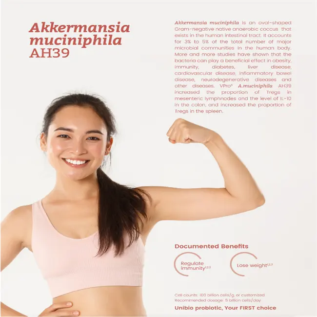 Premium Pasteurized Akkermansia Muciniphila AH39 High-Potency Probiotic Powder Raw Material for Advanced Gut Health Support