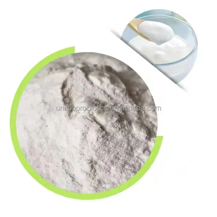 Lactobacillus Delbrueckii Spp. Bulgaricus HB68 White Powder Appearance
