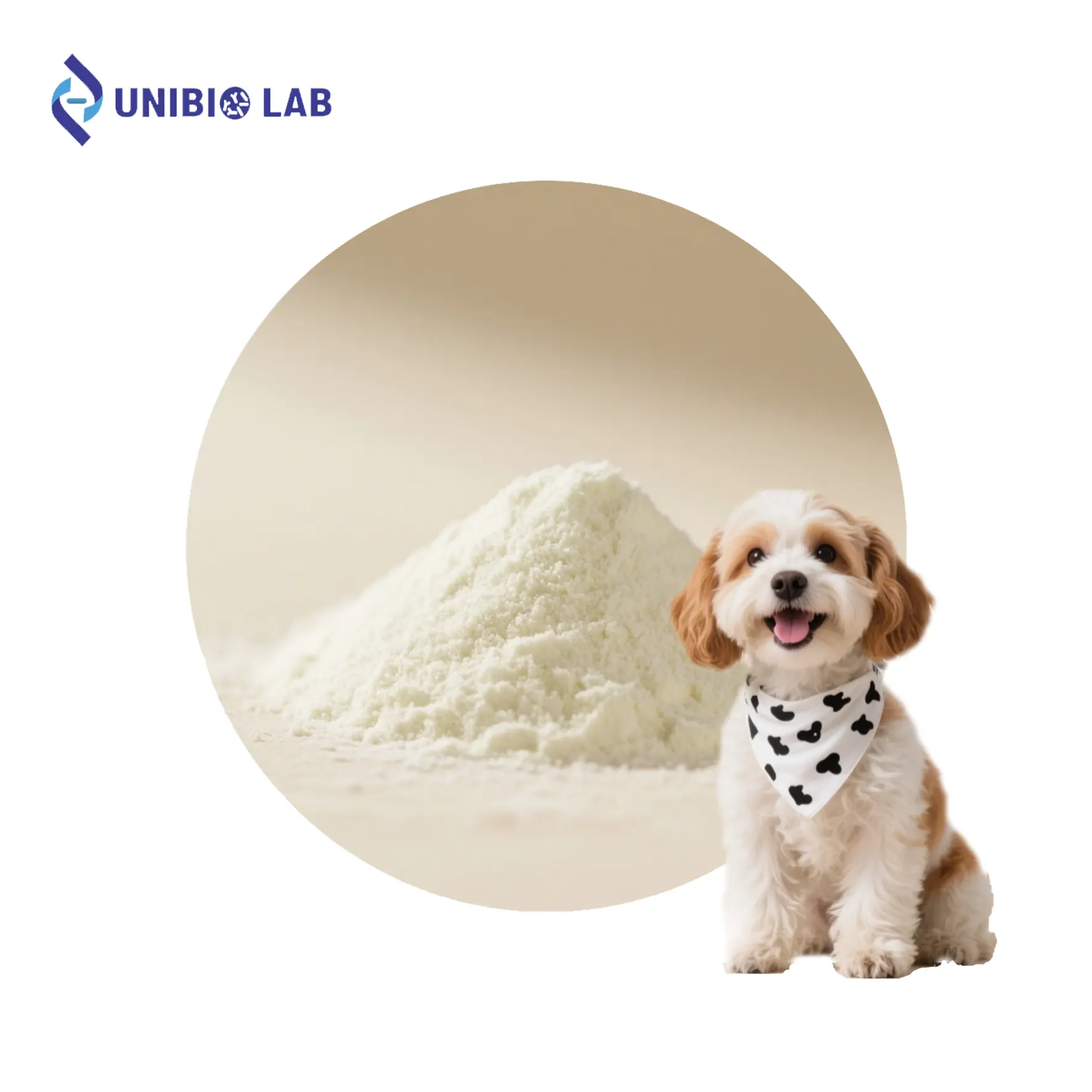 High Potency Lactobacillus Plantarum CCFM1351 Postbiotics Powder Raw Material Anti Hair Removal for Cat Dog Pet Health