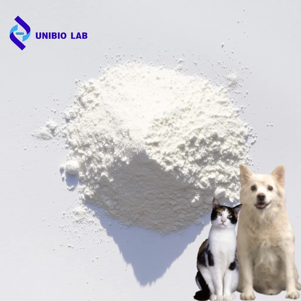 Wholesale Dog Probiotics Powder for Gut Health Immune Support 5 Billion CFU Multi-Strain Supplement for Puppies and Kittens.
