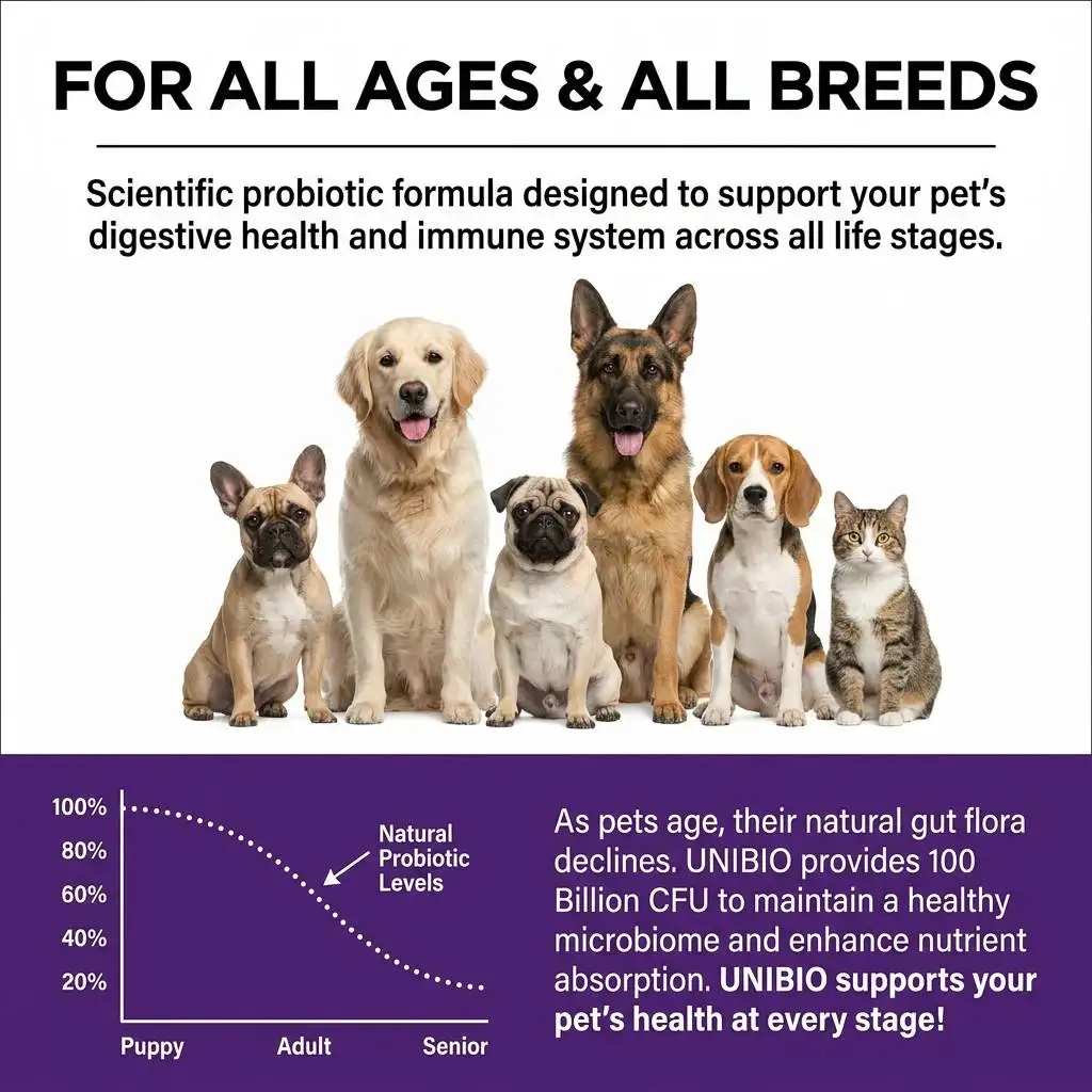 Probiotic Supplement 100B CFU 6 Strains Gut & Immune Health Powder for Cats & Dogs All Breeds & Ages Customized Logo