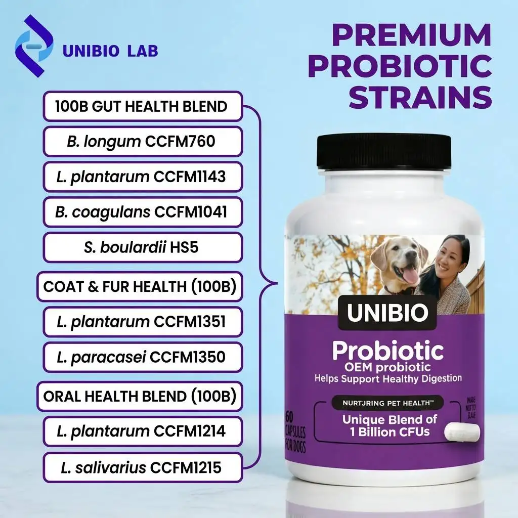 Scientific Pet Probiotic 100B Gut Flora Stability Immune Care for Dogs Cats All Breeds Sizes CCFM760 CCFM1143 OEM Factory