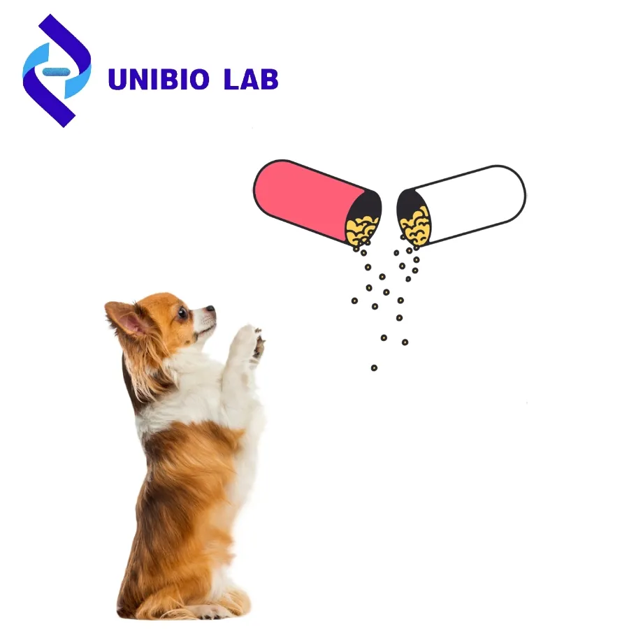 Pet Probiotics for Small Dogs Large Breeds Digestive Wellness Prebiotics Powder 200g