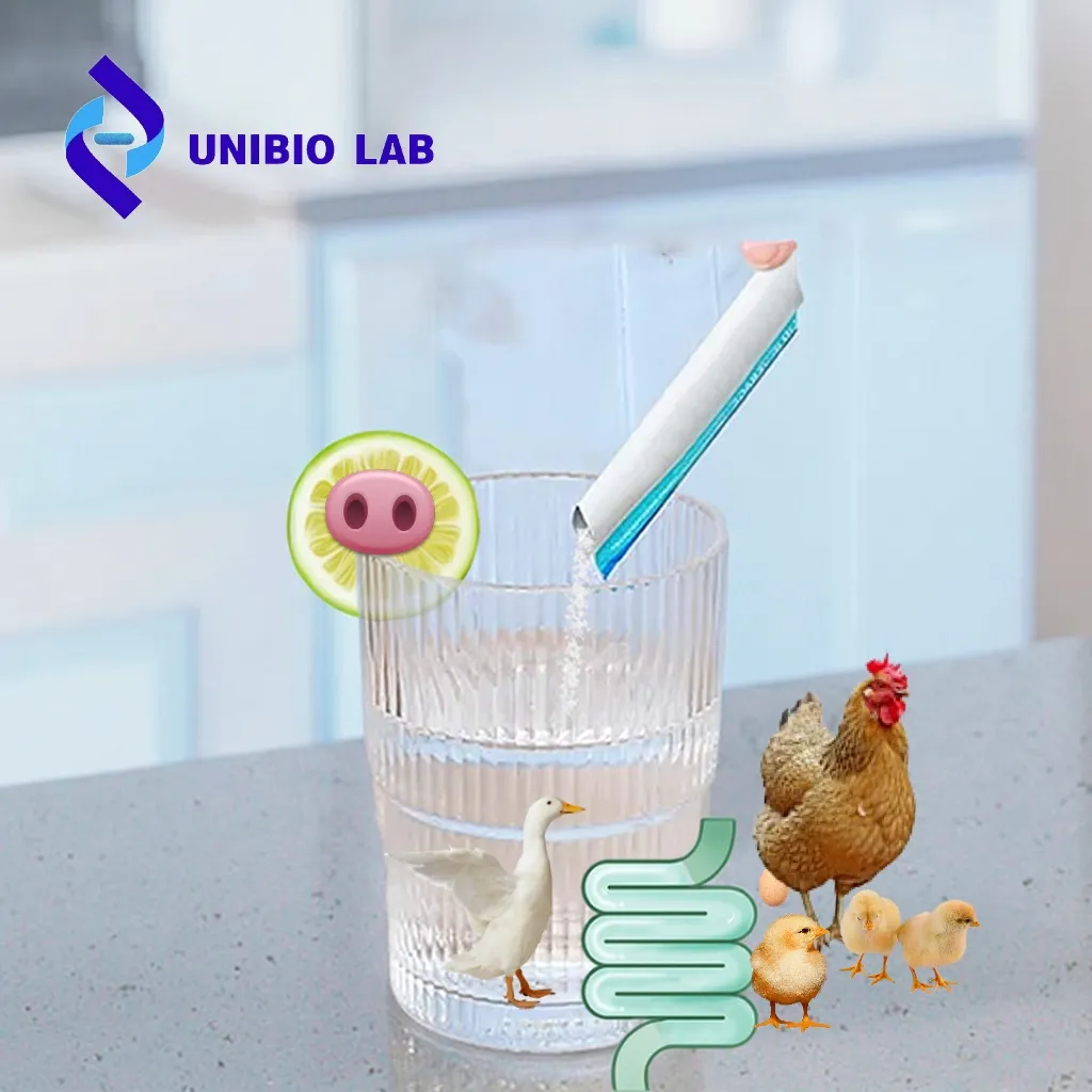 Factory Price Lactobacillus Helveticus HH28 Probiotics Powder for Cat Dog Rabbit Pet Health Care and Supplement