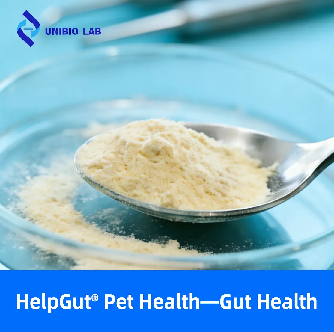 Pet Gut Health Probiotic Blend for Digestion Stool Quality and Microbiota Balance OEM ODM Private Label Premix