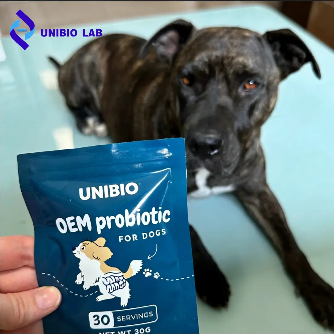 Pet Gut Health Probiotic Blend for Digestion Stool Quality and Microbiota Balance OEM ODM Private Label Premix