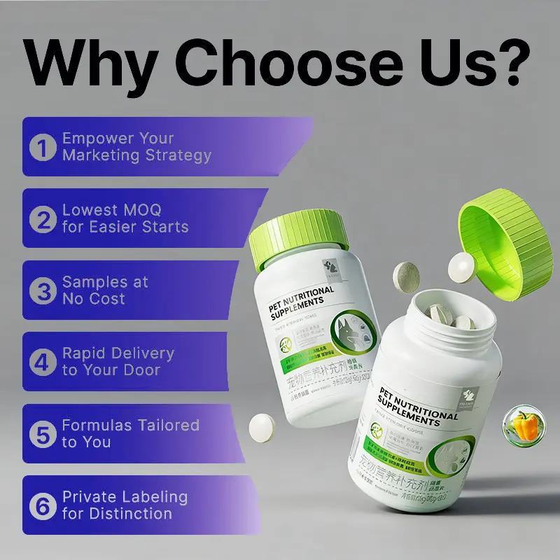 Professional Probiotic Factory Production Pet Probiotic Supplements Customizable Ingredients and Flavors for Daily Supplements