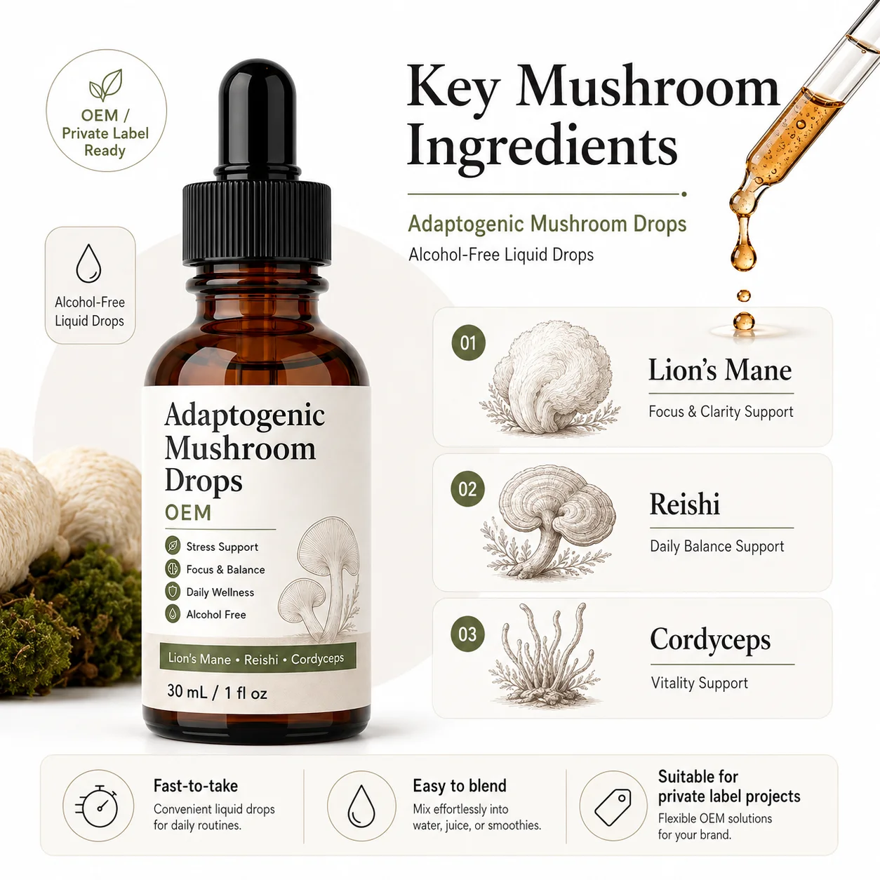 Advanced Synergistic Mushroom Complex Liquid Drops with Lions Mane and Reishi for Daily Wellness Maintenance Wholesale OEM ODM