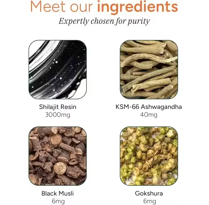 Hot Selling 10in1 Shilajit Gummies Non-GMO Herbal Supplement Ashwagandha Trace Minerals Men Women Sugar-Free Vegan Adult Immune