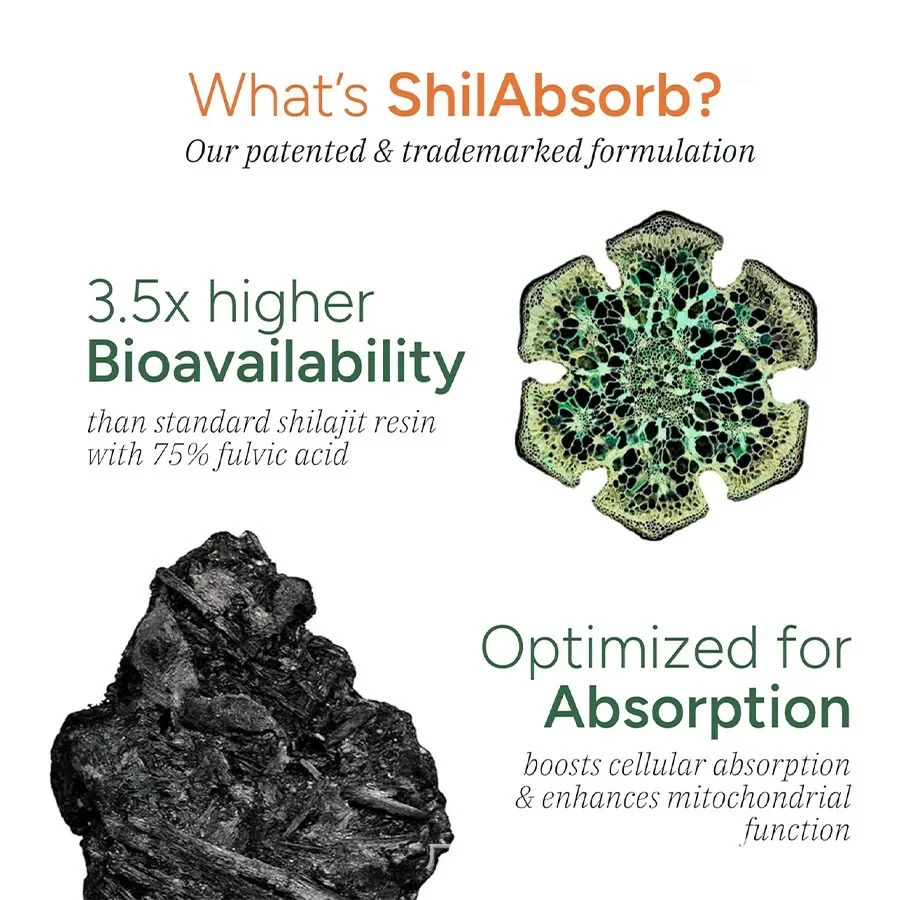 Hot Selling 10in1 Shilajit Gummies Non-GMO Herbal Supplement Ashwagandha Trace Minerals Men Women Sugar-Free Vegan Adult Immune