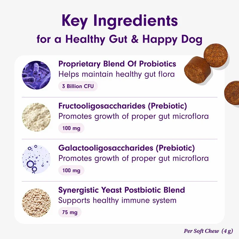 Customized Lion's Mane Mushroom Gummies 60 Count Energy-Boosting Pellet Multivitamin Supplements Natural Extract for Adults