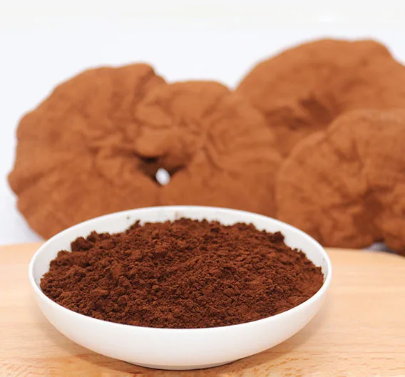 Best Quality Pure Reishi Mushroom Ganoderma Lucidum Shell Sporoderm Broken Ganoderma Lucidum Spore Powder