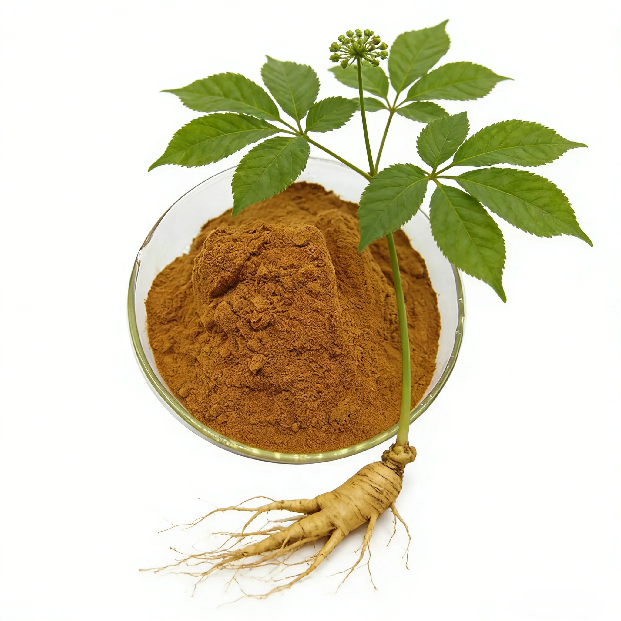Rare Ginsenosides 70% Minimum Purity 16 Types of Rare Ginsenosides Ginseng Extract Raw Material Manufacturer