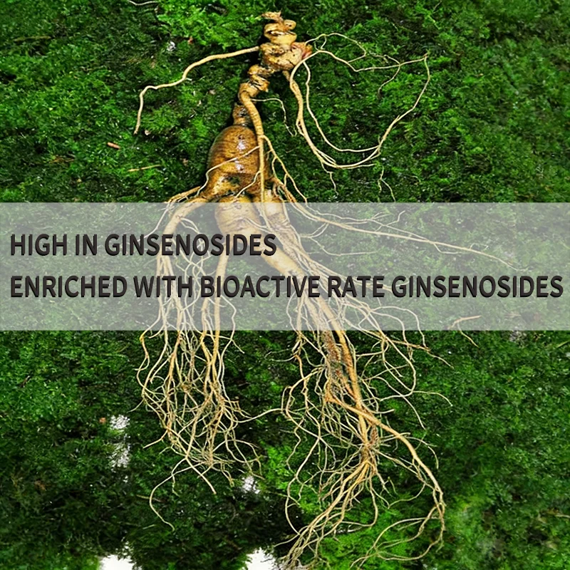 Rare Ginsenosides 70% Minimum Purity 16 Types of Rare Ginsenosides Ginseng Extract Raw Material Manufacturer