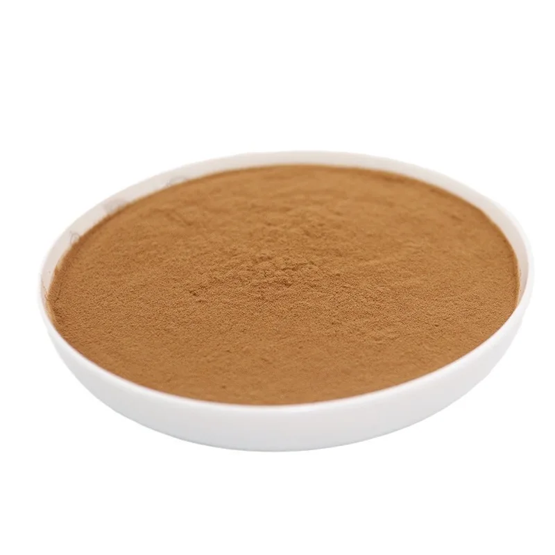 Premium Lion's Mane Mushroom Extract 30% Polysaccharides Hericium Erinaceus Extract Powder Bulk Food Ingredient Supply