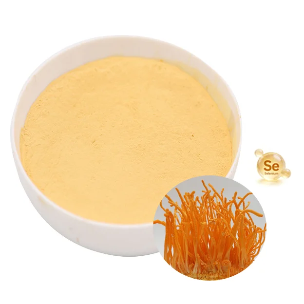 Food Grade High Content Cordycepin Selenium Raw Material Selenium-Enriched Cordyceps Militaris Powder for Tablet Capsule