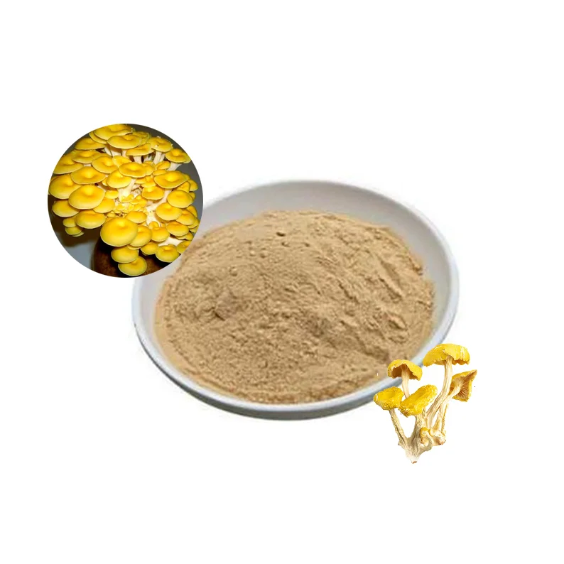 High Quality Yellow oyster Mushroom Extract L-ergothioneine 1% Powder Natural Dried Golden oyster Mushroom Extract