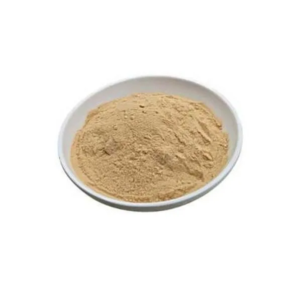 High Quality Yellow oyster Mushroom Extract L-ergothioneine 1% Powder Natural Dried Golden oyster Mushroom Extract