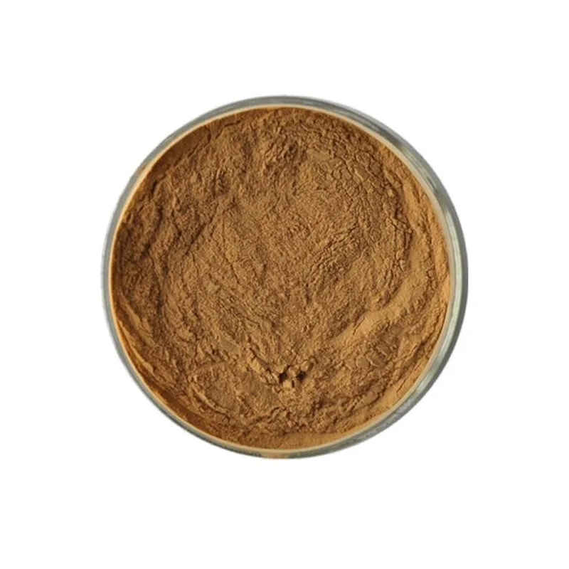 Boletus Edulis Porcini Mushroom Extract Powder L-Ergothioneine 1% for Solid Beverages Food Grade