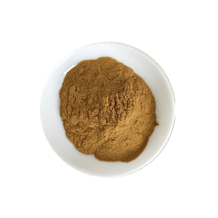 Wholesale Bulk Grifola Frondosa Extract Maitake Mushroom Extract Polysaccharide Powder Beta Glucan Maitake D-Fraction