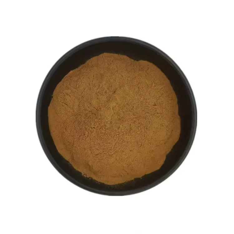 Wholesale Bulk Grifola Frondosa Extract Maitake Mushroom Extract Polysaccharide Powder Beta Glucan Maitake D-Fraction
