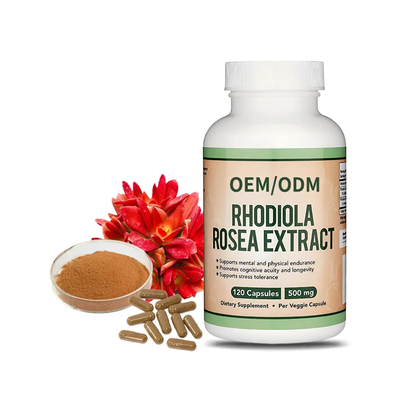 Fatigue Relief & Stamina Support Rhodiola Supplement 500mg Vegan Capsules in 120 Count OEM/ODM Service