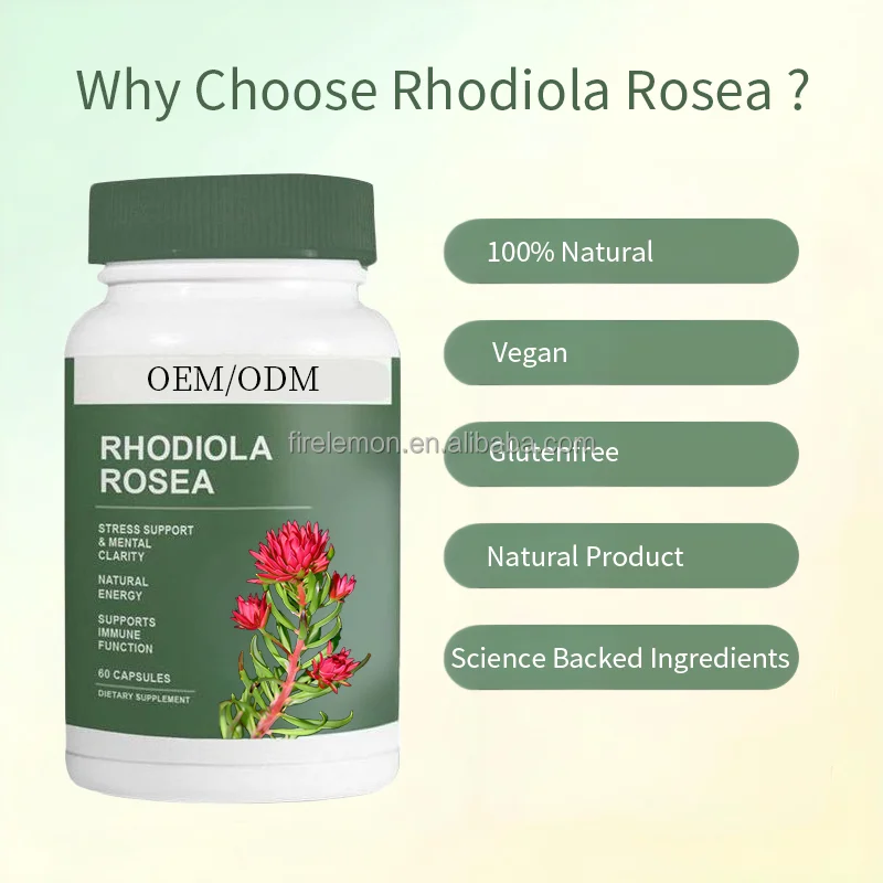 Custom Rhodiola Rosea Extract Rhodiola Herbal Capsules Support Relieves Stress & Enhances Mental Focus Dietary Supplement