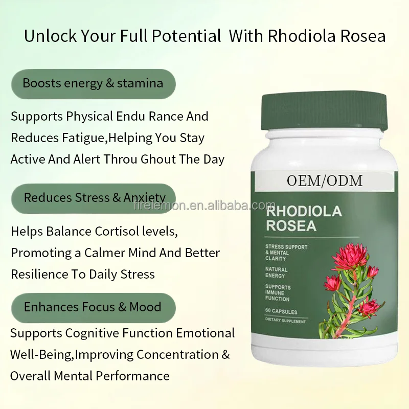 Custom Rhodiola Rosea Extract Rhodiola Herbal Capsules Support Relieves Stress & Enhances Mental Focus Dietary Supplement