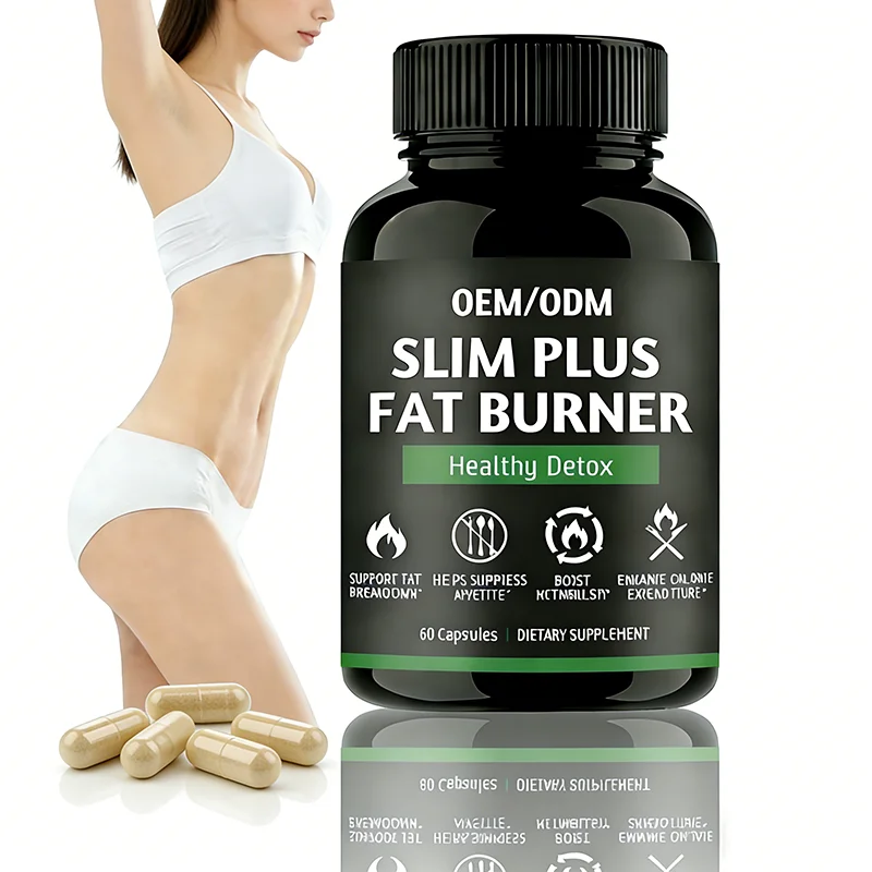 OEM/ODM Slim Plus Fat Burner Capsules Fat-Burning Herbal Supplement Capsules Energy Management Immune Support Dietary Supplement
