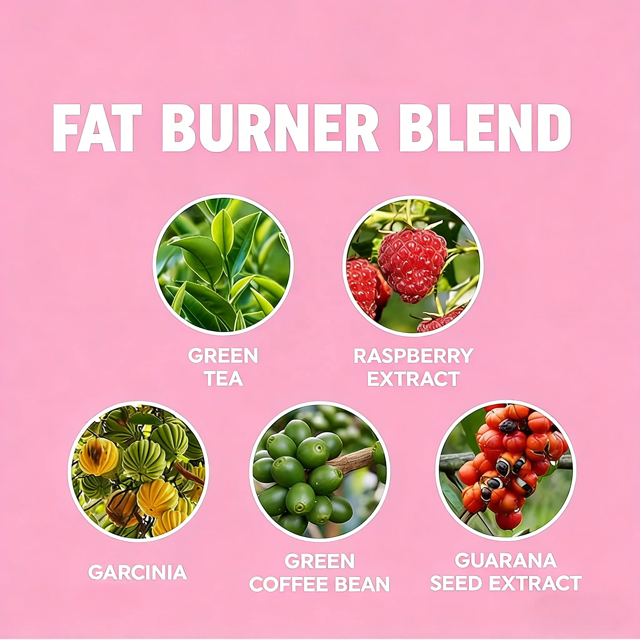 OEM Green Tea Fat Burner Supplements with Green Coffee Bean Garcinia Cambogia Weight Management for Women Weight Loss Products