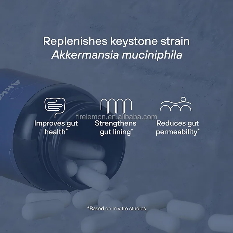 OEM Akkermansia Probiotic with Prebiotic Fiber Capsules Improve Gut Health Strengthens Gut Lining Dietary Supplement