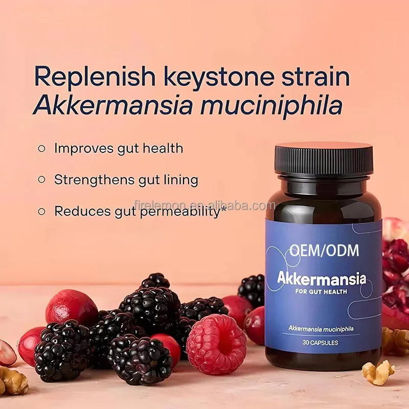 OEM Akkermansia Probiotic with Prebiotic Fiber Capsules Improve Gut Health Strengthens Gut Lining Dietary Supplement