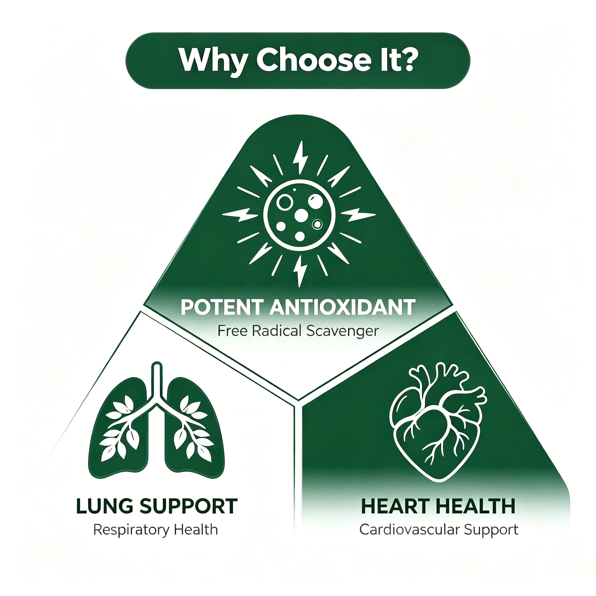 OEM Dihydroquercetin Herbal Drink Lung & Respiratory Health Support Heart Health Supplement Powerful Antioxidant Oral Liquid