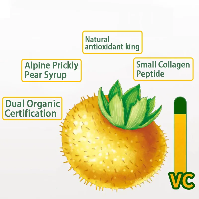 OEM ODM Hot Selling Prickly Extract Prickly Pear Syrup Natural Antioxidant Healthy Drink with Vitamin Food Supplements