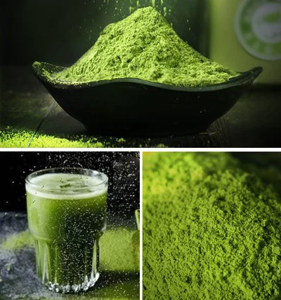 Factory Private Label Bulk Ceremonial Grade Matcha Powder