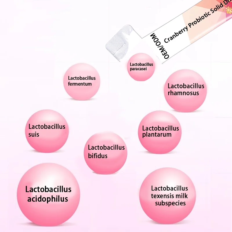 OEM/ODM Cranberry Probiotic Powder Support Female Vaginal Health and Digestive System Care Prebiotics Probiotics for Women