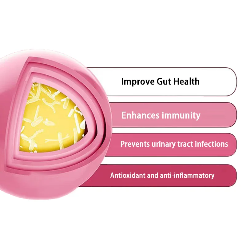 OEM/ODM Cranberry Probiotic Powder Support Female Vaginal Health and Digestive System Care Prebiotics Probiotics for Women