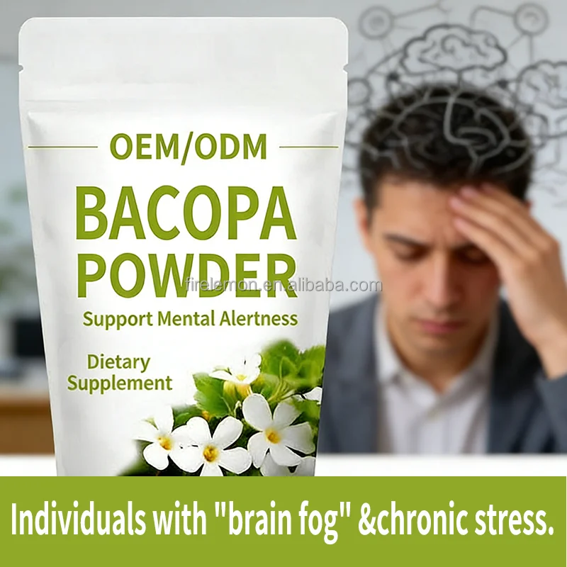 OEM/ODM Bacopa Powder Blend with Probiotics Blueberry Powder - Freeze-Dried Brain Gut Support Dietary Supplement