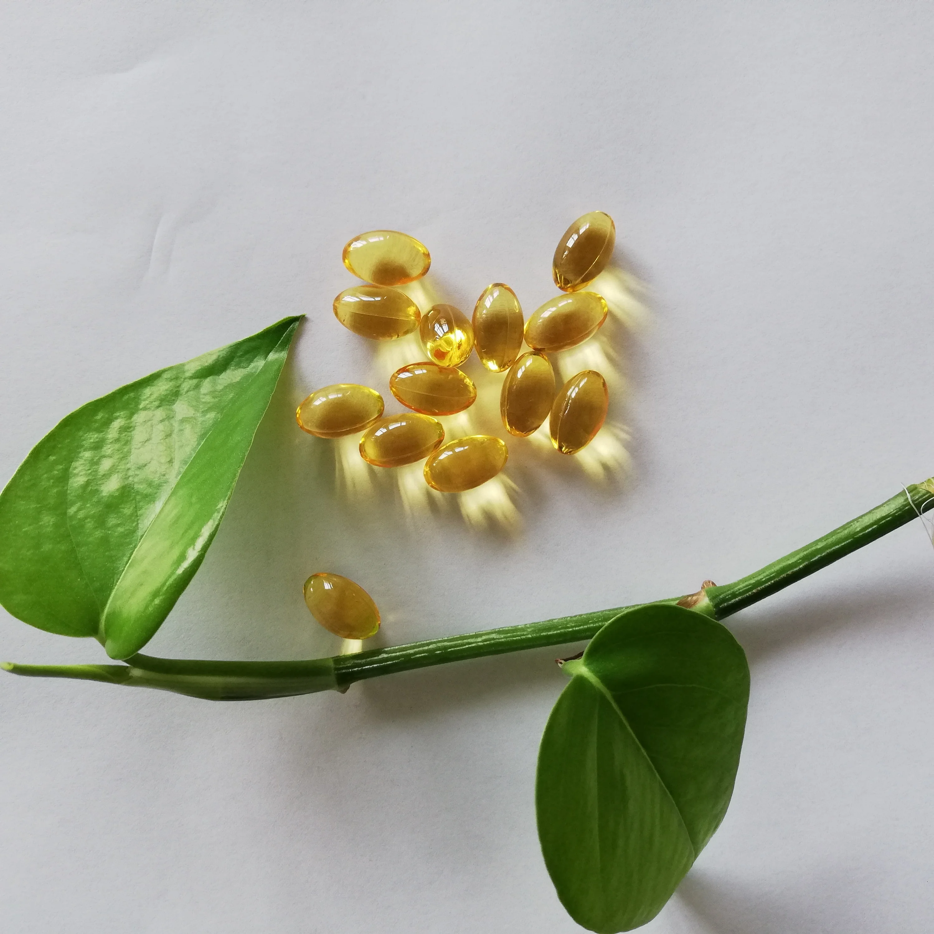 OEM Vegan Softgel Capsules Fish Oil Healthcare Supplements for Adults